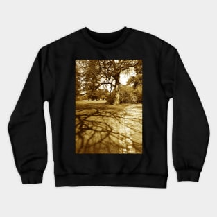 Tree shadows, Malvern Crewneck Sweatshirt